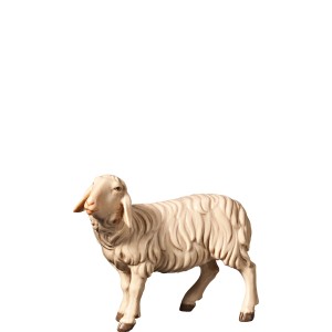 H-Sheep looking left - color - 10 cm