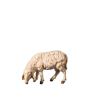 H-Sheep grazing left - color - 10 cm
