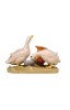 HE Group of ducks with jug - color - 16 cm