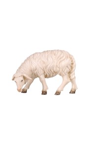 HE Sheep grazing looking left - color - 6 cm