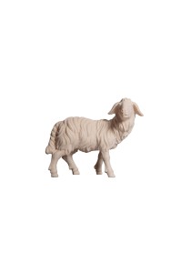 HE Sheep standing looking right - natural - 6 cm