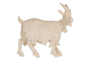 RA Goat with bell looking right - natural - 6 cm