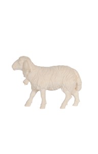 RA Sheep going with bell - natural - 9 cm