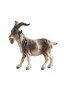 MA Billy goat - color - 8 cm