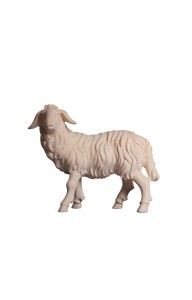 MA Sheep standing looking left - natural - 12 cm