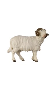 KO Ram looking right - color - 8 cm