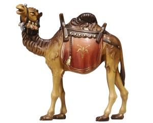 KO Kamel - bemalt - 16 cm
