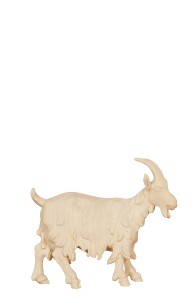 KO Goat head up - natural - 8 cm