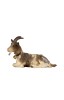 KO Goat lying - color - 12 cm