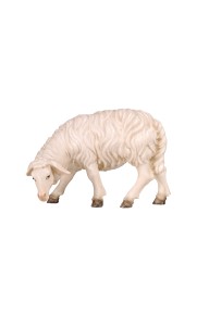 KO Sheep grazing looking left - color - 16 cm