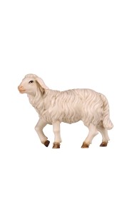 KO Sheep standing head up - color - 16 cm