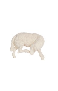 KO Sheep scratching - natural - 9,5 cm