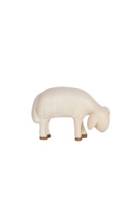 LE Sheep grazing looking right - color - 13 cm