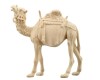 ZI Camel