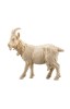 ZI Goat with bell - natural - 11 cm