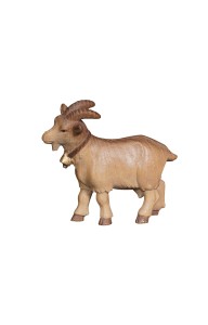 PE Goat - stained 3 shades - 12 cm
