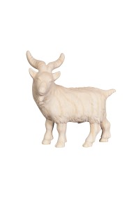 PE Billy goat - natural - 12 cm