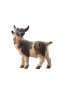 PE Billy goat - color watercolor - 12 cm