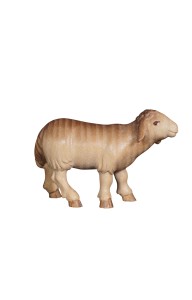 PE Sheep standing looking forward - stained 3 shades - 12 cm