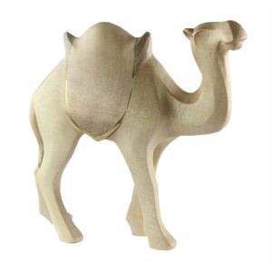 Leonardo camel