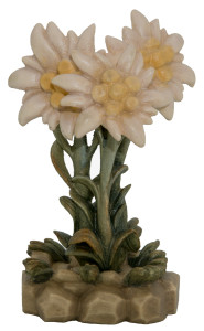Bunch of Edelweiss with base