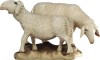 Gruppo di pecore
