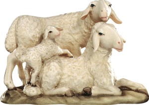 Schafgruppe mit Lamm