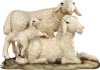 Gruppo di pecore con agnello