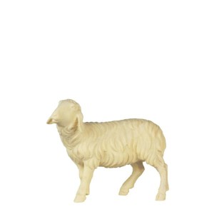 A-Sheep looking left - natural - 8 cm