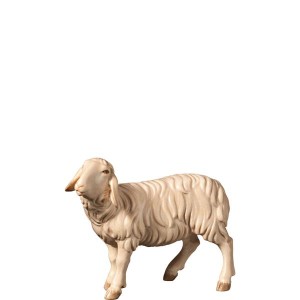 A-Sheep looking left - stained 2 shades - 10 cm