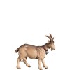 A-Goat looking - color - 8 cm