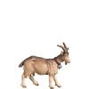 A-Goat looking - color - 12,5 cm