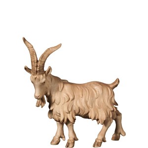 A-He-goat - stained 2 shades - 10 cm