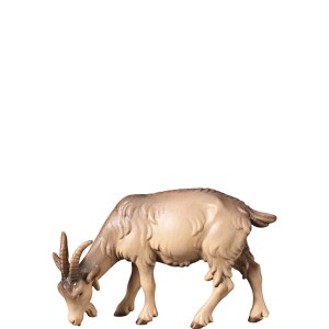 A-Goat grazing - color - 11,5 cm