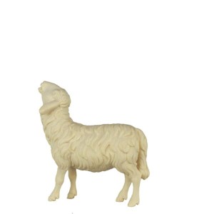 A-Sheep looking up - natural - 8 cm