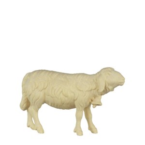 A-Schaf vorwärts schauend - natur - 8 cm