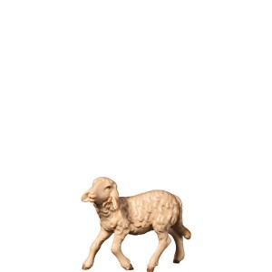 A-Schaf halbwüchsig - mehrtönig gebeizt - 11,5 cm