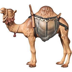 A-Camel - color - 8 cm