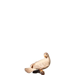 O-Dove looking backwards