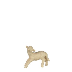 O-Lamb hopping - natural - 10 cm