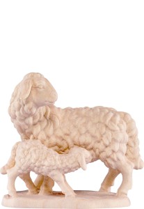 Sheep with lamb B.K.