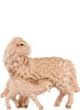 Sheep with lamb H.K.