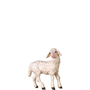 Lamb standing H.K.
