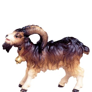 Billy goat H.K.