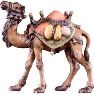 Camel R.K.