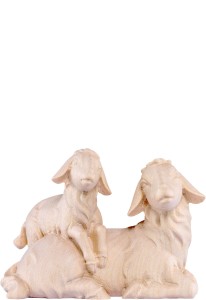 Sheep lying with lamb Artis