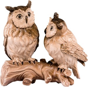 Group of owls
