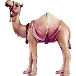 Camel Artis - color - 12 cm