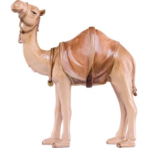 Kamel Artis - mehrtönig gebeizt - 15 cm