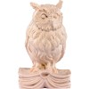 Owl on book - natural - 5 cm